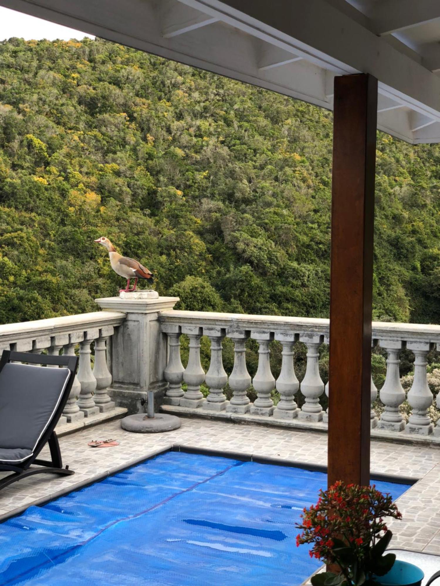Livingstone Villa Wildernis Buitenkant foto
